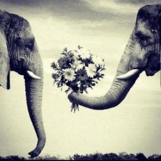 Ce n&rsquo;est pas l&rsquo;amour que nous n&rsquo;avons pas reçu dans le passé qui nous handicape, mais bien…