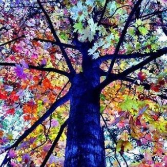 Le jour où je me suis aimé pour de vrai…